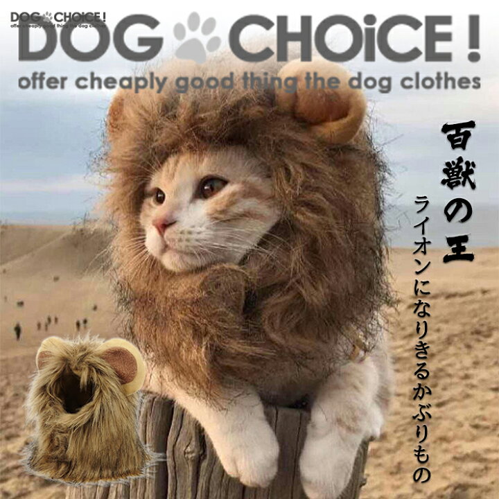 楽天市場 犬服 ドッグウェア 送料無料 帽子 百獣の王 なりきりライオン帽子 カット不要 かぶるだけでライオンに大変身 目立ちまくり耳付き帽子 ライオン たてがみ 犬 タテガミ コスチューム ペット用 犬用猫用 被り物 ウィッグ インスタ映え インスタグラム