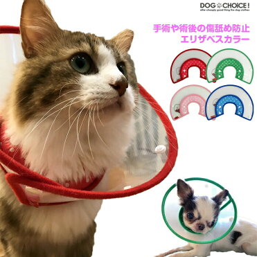 猫さんの花粉症