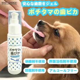 【チヨペット】ポチタマの歯ぴか 50ml 歯みがきジェル 愛犬の歯周病予防 犬用デンタルケア ジェル 界面活性剤不使用 研磨剤不使用 4580153791001