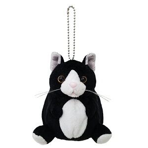 ݌Ɍ@TCY̊ۂď|[`b݂Ղƃ|[`@n`yLG݁ELObY@~j|[`  K َq RCP[X }XRbg ʂ ~`J