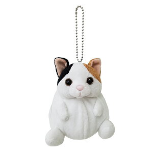 ݌Ɍ@TCY̊ۂď|[`b݂Ղƃ|[`@~PlRyLG݁ELObY@~j|[`  K َq RCP[X }XRbg ʂ ~`J