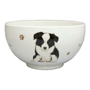 R@ǂԂ@S24@{[_[R[@G݁@ObY