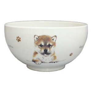 R@ǂԂ@S13@Č@G݁@ObY