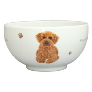 R@ǂԂ@S22@Tv[h@G݁@ObY