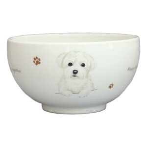 R@ǂԂ@S25@}`[Y@G݁@ObY