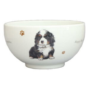 R@ǂԂ@S6@o[j[Y@G݁@ObY