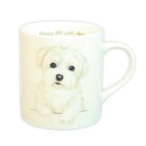 R@}OJbv@yS25z}`[YG݁@ObY