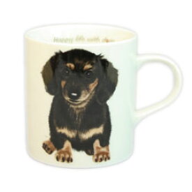 わんコレ　マグカップ　【S23】ダックスB&T犬雑貨　犬グッズ