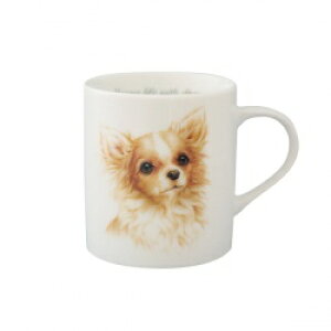 R@}OJbv@yG5zC`G݁@ObY