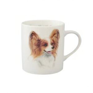 R@}OJbv@yG12zCpsG݁@ObY