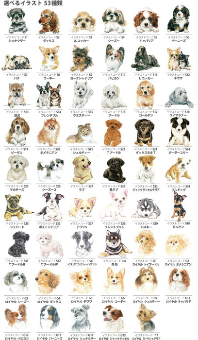 楽天市場 わんコレ マグカップ ｇ5 ロイヤルチワワ犬雑貨 犬グッズ 犬雑貨専門店 銀屋