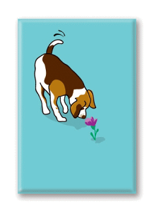 ݌Ɍ@}OlbgV[Yyr[O&t[zAG݁@G݁@ObY