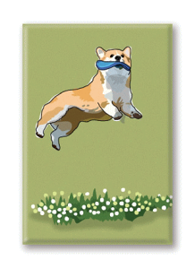 ݌Ɍ@}OlbgV[YyR[M[EWvzAG݁@G݁@ObY