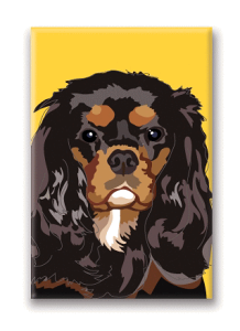 ݌Ɍ@}OlbgV[YyLoAEubN^zAG݁@G݁@ObY