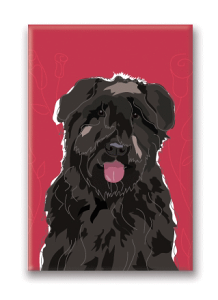 ݌Ɍ@}OlbgV[Yyu[rGEfEt_[XzAG݁@G݁@ObY