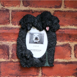 AEgbg@tBMAtHgt[Et@~[yv[h/ubNzAG݁@G݁@ObY