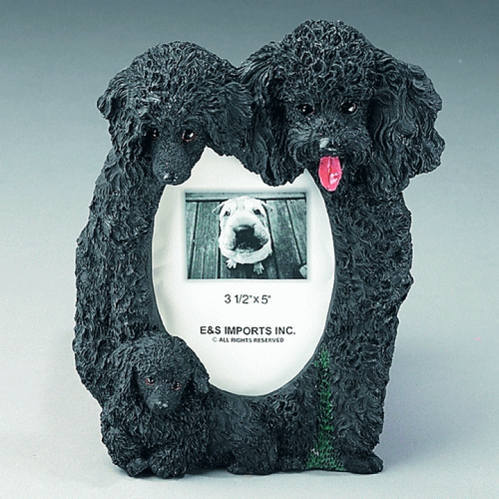 輸入 ゴブラン織り タペストリーペキニーズ輸入雑貨 犬雑貨 犬グッズ Fucoa Cl