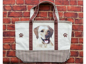 ݌Ɍ@vgg[gobOyuh[@AG݁@G݁@ObYz