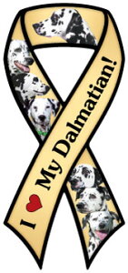 ݌Ɍ@hbOu[h@{@J[}Olbgy_VAzAG݁@G݁@ObY