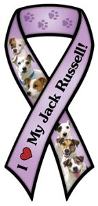 ݌Ɍ@hbOu[h@{@J[}OlbgyWbNEbZEeAzyp[vzAG݁@G݁@ObY