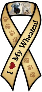 ݌Ɍ@hbOu[h@{@J[}OlbgyEB[gEeAzAG݁@G݁@ObY