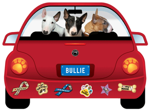 ݌Ɍ@pbv[r@J[}Olbg@yuEeAzAG݁@G݁@ObY