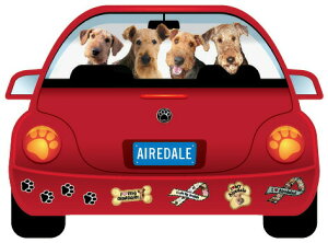 ݌Ɍ@pbv[r@J[}Olbg@yGAf[EeA zAG݁@G݁@ObY