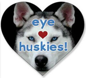 ݌Ɍ@DOG@n[g}OlbgynXL[zAG݁EObYEG