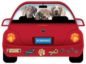 ݌Ɍ@pbv[r@J[}Olbg@yC}i[zAG݁@G݁@ObY