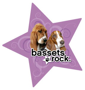 ݌Ɍ@DOG@X^[}OlbgyoZbgnEhzAG݁EObYEG