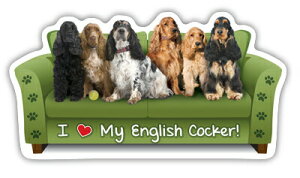 ݌Ɍ@JE`|eg@J[}Olbg@yCObVERbJ[XpjGzAG݁@G݁@ObY