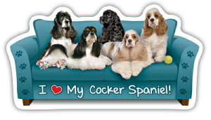 ݌Ɍ@JE`|eg@J[}Olbg@yRbJ[XpjGzAG݁@G݁@ObY