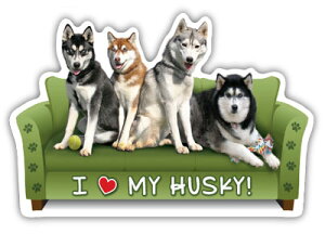 ݌Ɍ@JE`|eg@J[}Olbg@ynXL[zAG݁@G݁@ObY