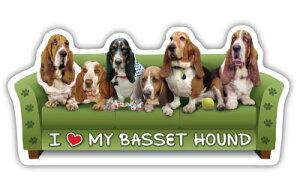 ݌Ɍ@JE`|eg@J[}Olbg@yoZbgEnEhzAG݁@G݁@ObY