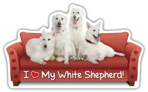 ݌Ɍ@JE`|eg@J[}Olbg@yzCgVFp[hzAG݁@G݁@ObY