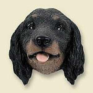 ݌Ɍ@R~JEhbOtBMA@wbh@y_bNXthEubNzAG݁@G݁@ObY@{gl`EA[gޗ