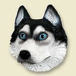 ݌Ɍ@R~JEhbOtBMA@wbh@yVxAEnXL[zAG݁@G݁@ObY@{gl`EA[gޗ