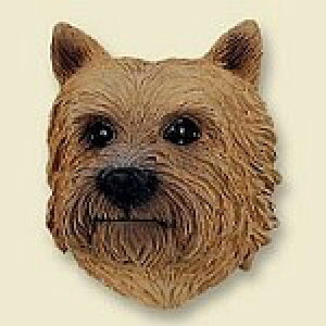 ݌Ɍ@R~JEhbOtBMA@wbh@ym[b`EeAzAG݁@G݁@ObY@{gl`EA[gޗ