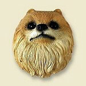 ݌Ɍ@R~JEhbOtBMA@wbh@y|jAzAG݁@G݁@ObY@{gl`EA[gޗ