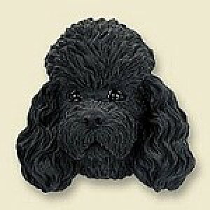 ݌Ɍ@R~JEhbOtBMA@wbh@yv[hEubNzAG݁@G݁@ObY@{gl`EA[gޗ