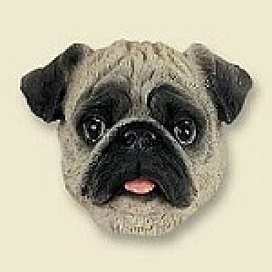 ݌Ɍ@R~JEhbOtBMA@wbh@ypOzAG݁@G݁@ObYEpOObY@{gl`EA[gޗ