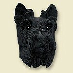 ݌Ɍ@R~JEhbOtBMA@wbh@yXReBbVEeA/XRb`zAG݁@G݁@ObY@{gl`EA[gޗ