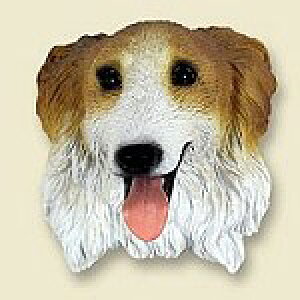 ݌Ɍ@R~JEhbOtBMA@wbh@y{]CzAG݁@G݁@ObY@{gl`EA[gޗ