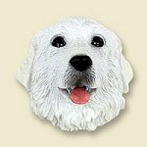 ݌Ɍ@R~JEhbOtBMA@wbh@yO[gEsj[YzAG݁@G݁@ObY@{gl`EA[gޗ