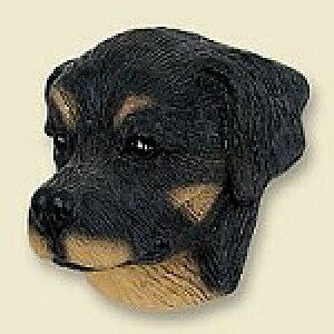 ݌Ɍ@R~JEhbOtBMA@wbh@ybgC[zAG݁@G݁@ObY@{gl`EA[gޗ