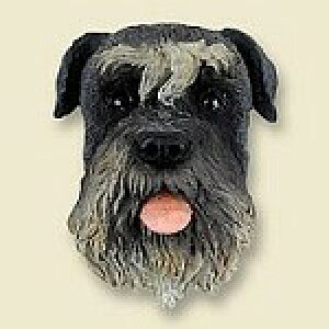 ݌Ɍ@R~JEhbOtBMA@wbh@yViEU[/UncropzAG݁@G݁@ObY@{gl`EA[gޗ