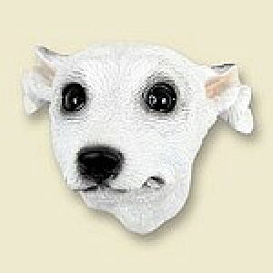 ݌Ɍ@R~JEhbOtBMA@wbh@yEBybgEzCgzAG݁@G݁@ObY@{gl`EA[gޗ