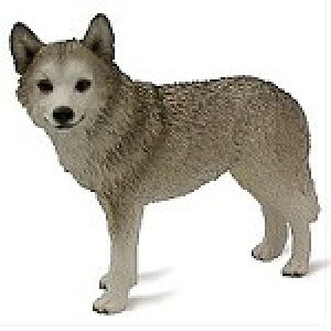 ݌Ɍ@tBMA@hbO@yVxAEnXL[/GRWHuEACzAG݁@G݁@ObY