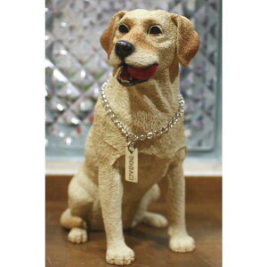 ݌Ɍ@My DogtBMA@yuh[g[o[/CG[uzAG݁@G݁@ObY