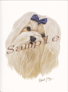 ݌Ɍ@O[eBOJ[hy}`[YzAG݁@G݁@ObY